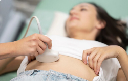 科学生育力检查